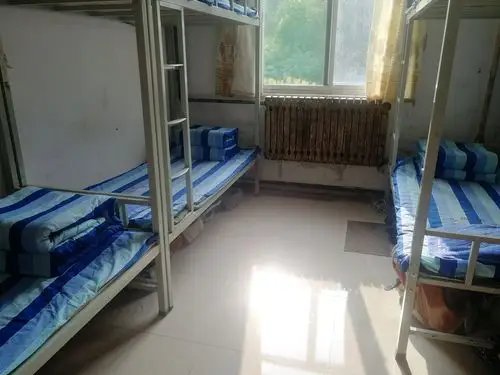 挑战自我,历练成长—实验中学综合实践纪实