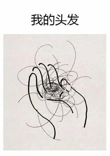 我的头发 - 太扎心了,是我本人没错了! 67_内涵表情