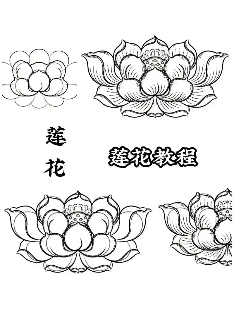 莲花教程.打工只是为了混口饭吃,千万别沉迷进去.#画画 #原 - 抖音