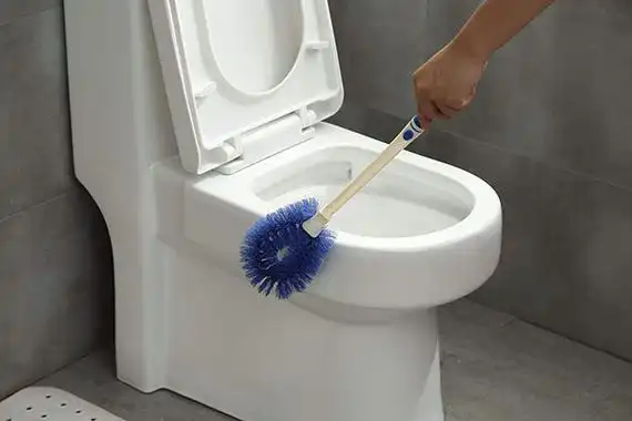 马桶刷哪个牌子好-爱你网