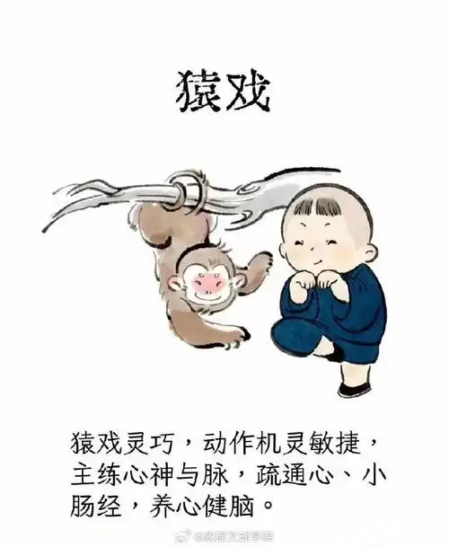 今天小编为大家推荐一下中国传统导引养生的一个重要功法——"五禽戏"