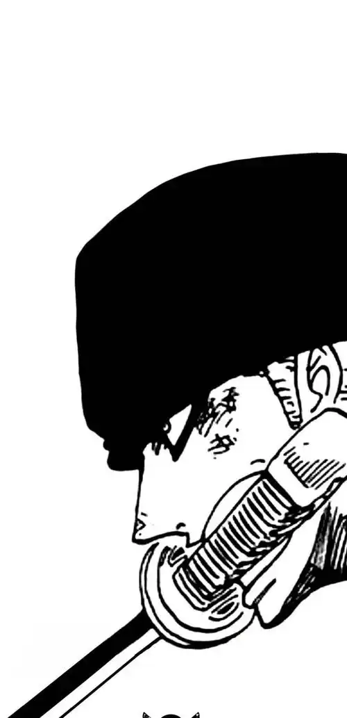 海贼王壁纸黑白索隆