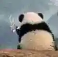 熊猫一个人抽烟(背景)_熊猫_抽烟_背景表情