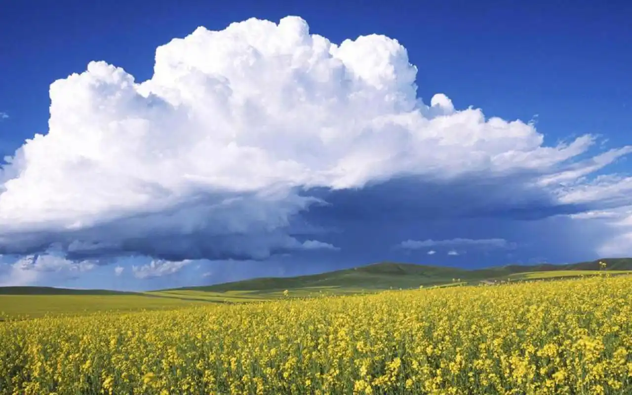 蓝天白云唯美护眼风景图片桌面壁纸
