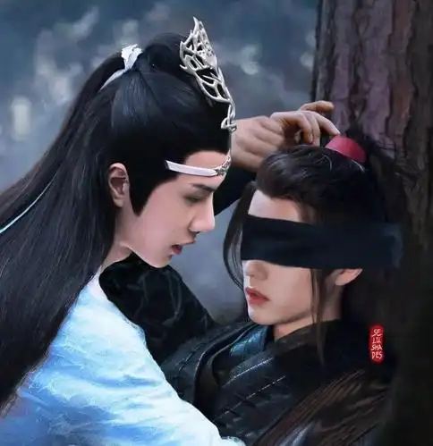 【微信头像】陈情令