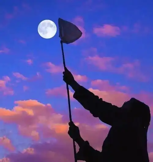 15句抖音上最火的个性霸气说说发朋友圈必点赞