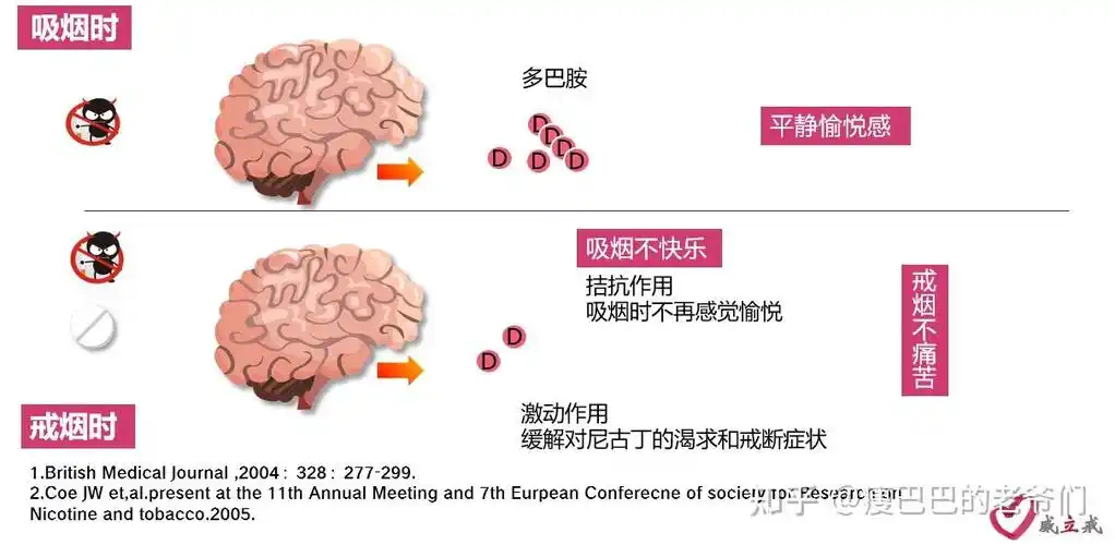 varenicline(商品名例如威立戒): 伐尼克兰是一种部分尼古丁受体激动