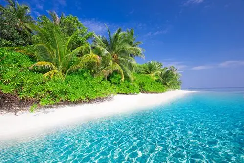 大海边的椰树风景图片下载,大海边的椰树风景,大海,海水,水波,沙滩