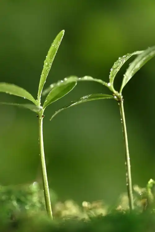 【se7en丶夨忆出品】新入九妹 发壁纸200张 可上传