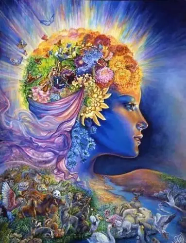 高维度灵魂的特质与特征