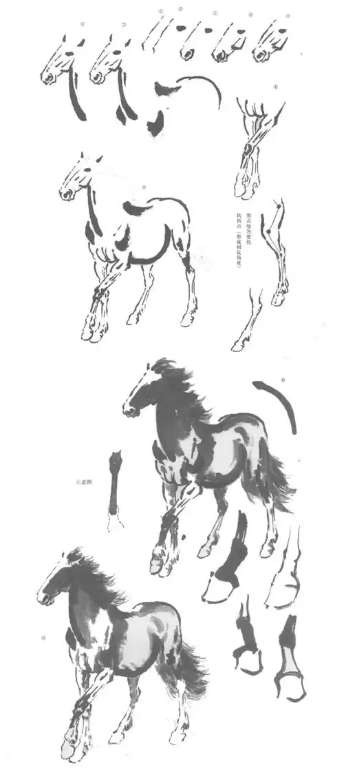 徐悲鸿马创作步骤图之一(徐悲鸿画马技法)
