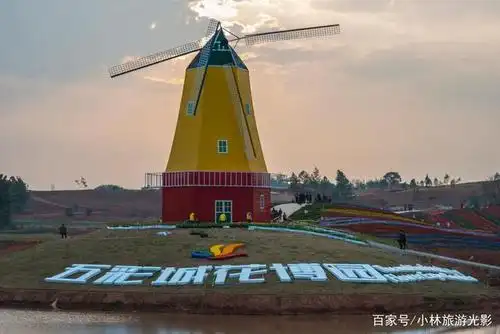 浪漫又华丽的五彩城观光花博园