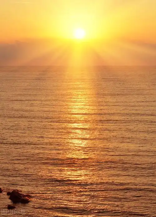 云上太阳它总不改变新年去看中国最美的日出吧新年新气象