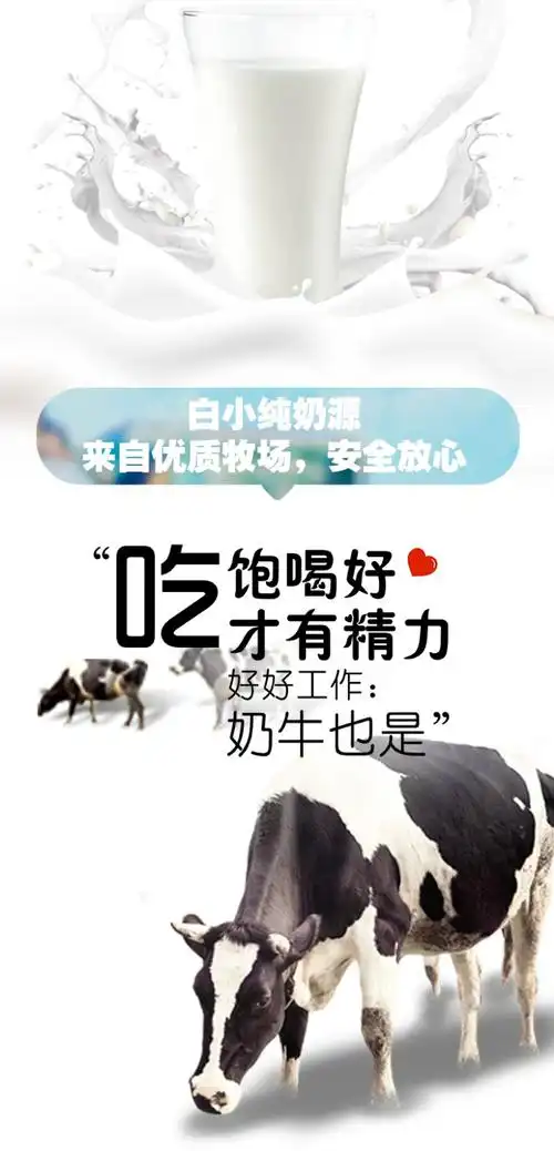 君乐宝纯牛奶白小纯180g*12袋装纯奶营养早餐奶 12袋装