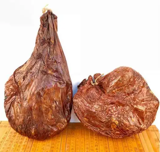 新麓说鹿之鹿胎