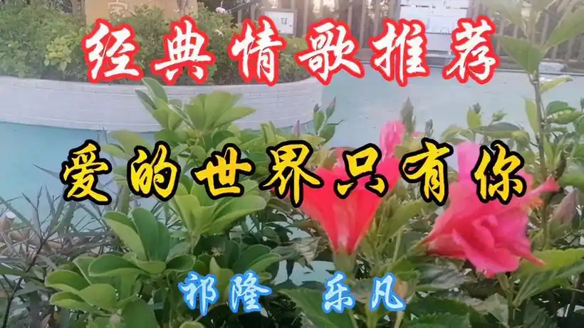 祁隆乐凡深情对唱《爱的世界只有你》,旋律优美,缠绵柔情超好听-音乐