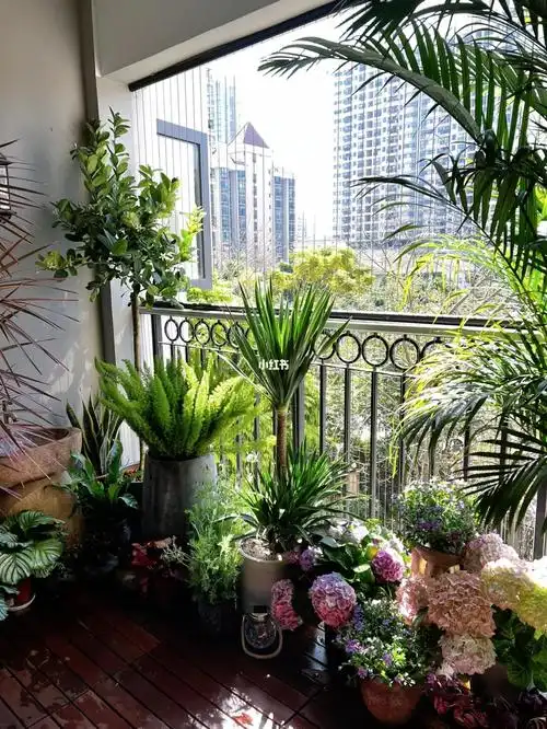 阳台绿植阳台改造阳台造景阳台种花