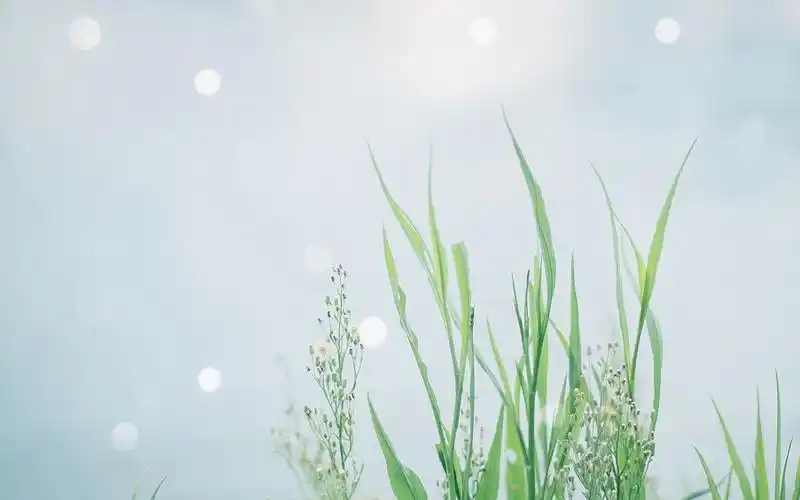 清新文艺的图片小清新文艺范图片