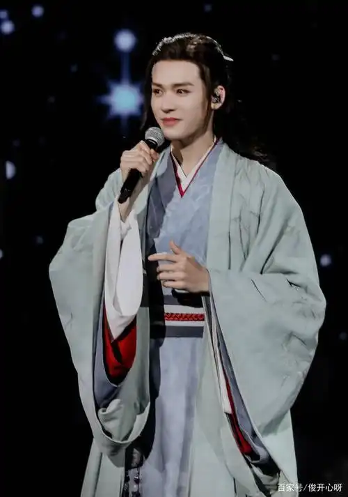 山河令演唱会照片