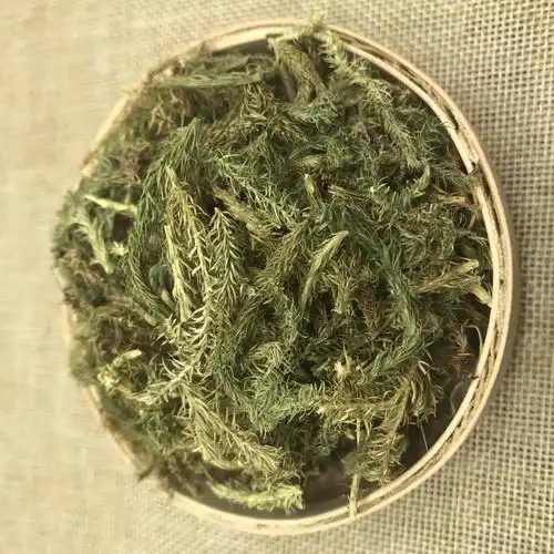 云南中药材伸筋草过山龙马尾生筋草筋骨草石松狮子草干货500克