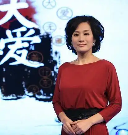 【图】主持人何婕个人资料出炉 沉稳大气的金话筒主持