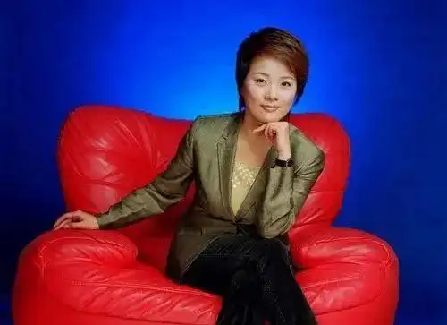 东方卫视首席主播印海蓉珍藏版美照_网易订阅