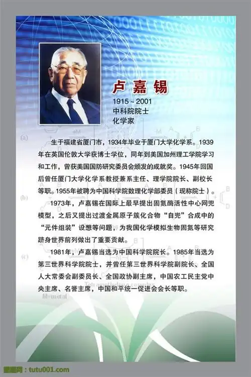 名人专栏图片下载