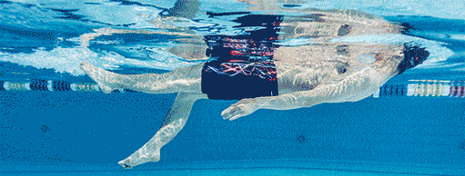 变换各种姿势,尽情欢乐蝶泳,仰泳,蛙泳,自由泳在水中无拘无束地畅游