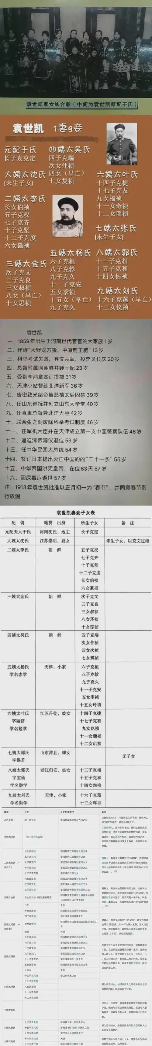 袁世凯的10个老婆中有3个是妓女3个是朝鲜人