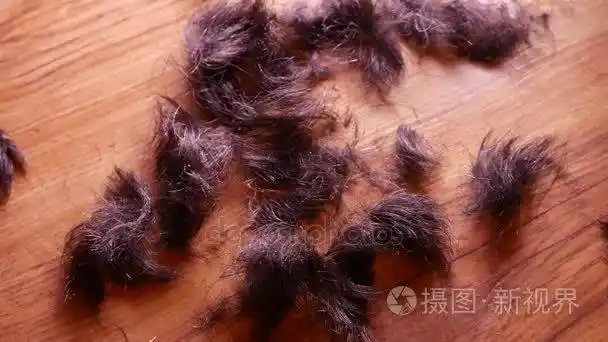 剪了头发落在地板上4k到