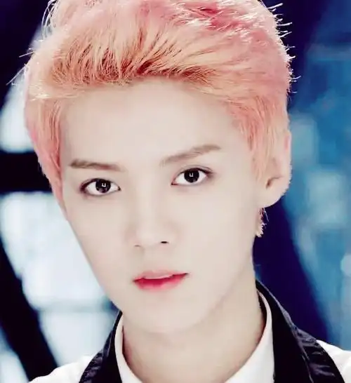 谁有鹿晗咆哮时期香芋紫色头发的高清图