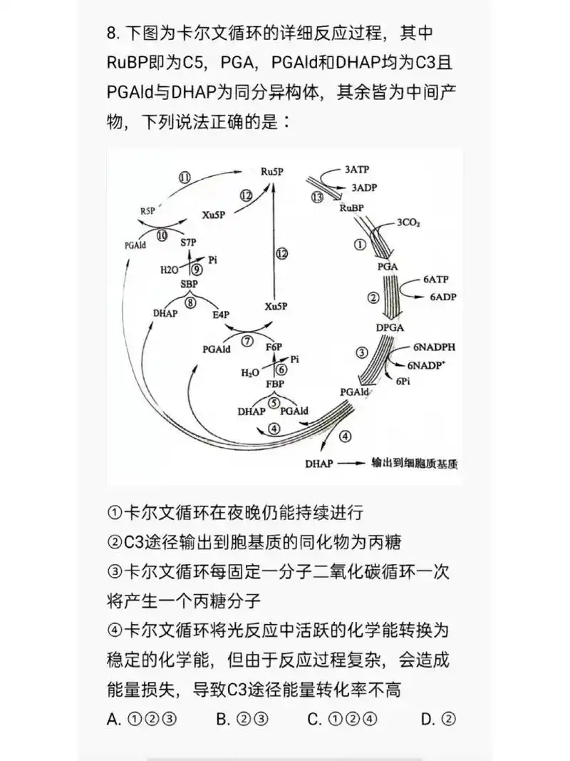 快来看完整的卡尔文循环 这类题都是图很难但题很简单