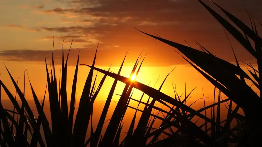 美桌网把热门壁纸图片推荐给您,让您更快的找到您想要的简约好看的