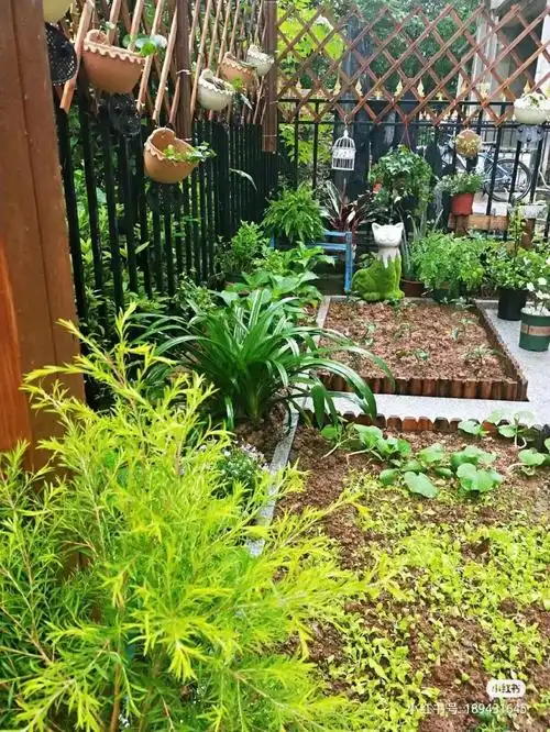 院子=菜园花园