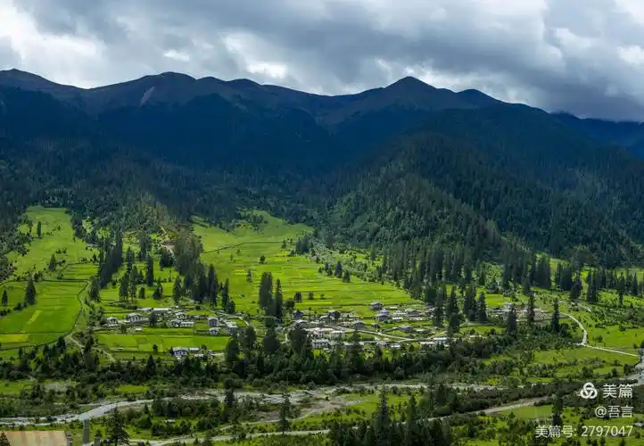 藏区行摄59——去鲁朗,观景台上看林海