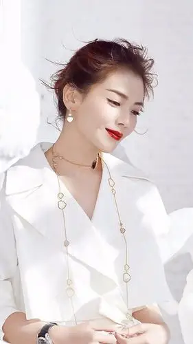 刘涛精选壁纸集