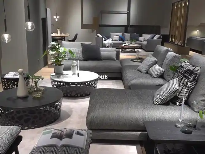 德国rolfbenz罗福宾士沙发