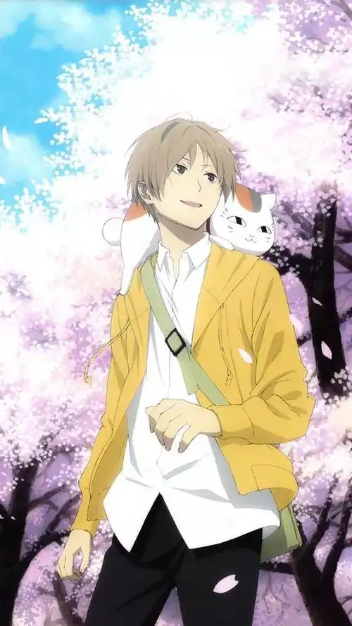 夏目友人帐治愈系猫咪老师手机壁纸