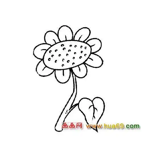 午时花的简笔画视频 简笔画图片大全-普车都