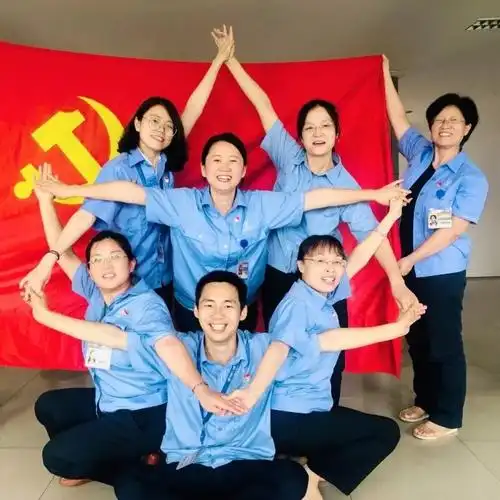 "我与党旗合个影"投票开始啦!_杜俊仪