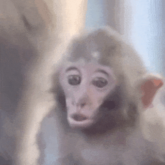 358_358gif 动态图 动图