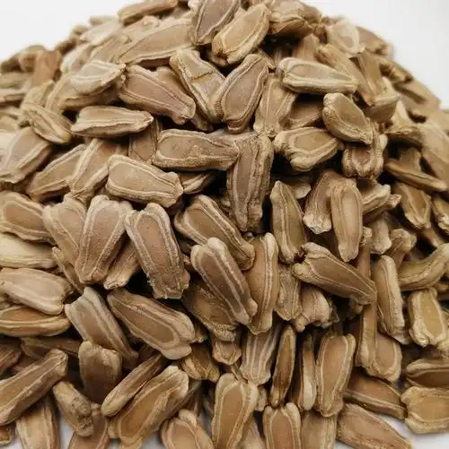 中药材葫芦500g籽瓢瓜子干净杂质店内其他冷背其他药食同源食品