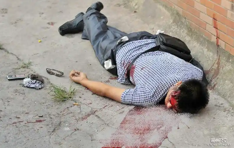 周克华被击毙了