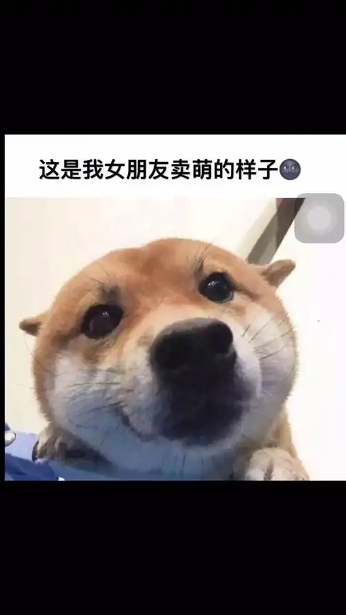 这是我女朋友日常的样子 有一样的吗