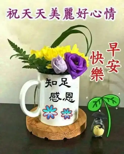 特温馨早上好问候暖心祝福语文字,早晨好漂亮群发慰问语录