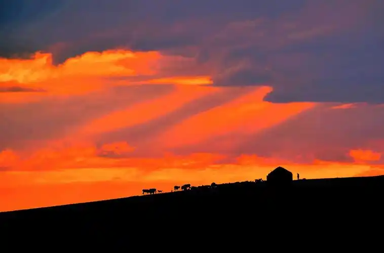 打开微信,使用"扫一扫"即可将网页分享之朋友圈 转发到小组