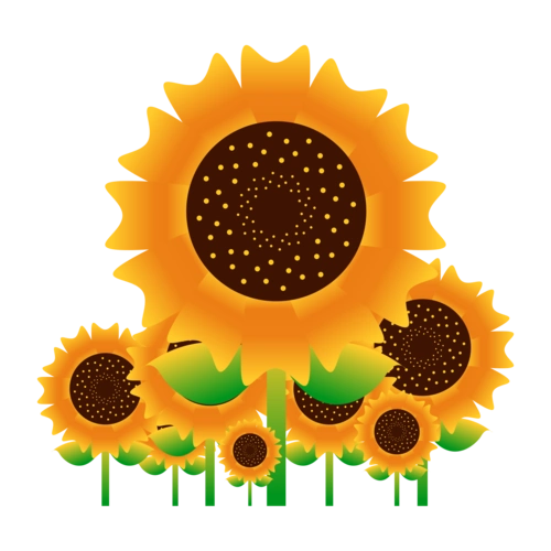 卡通花卉向日葵图片