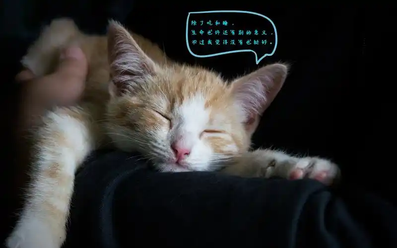 很困想睡觉的个性说说配图