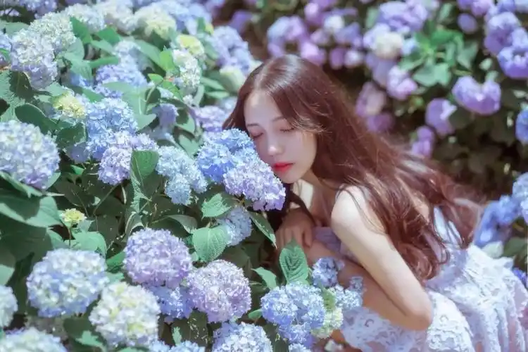 小仙女 - 堆糖,美图壁纸兴趣社区