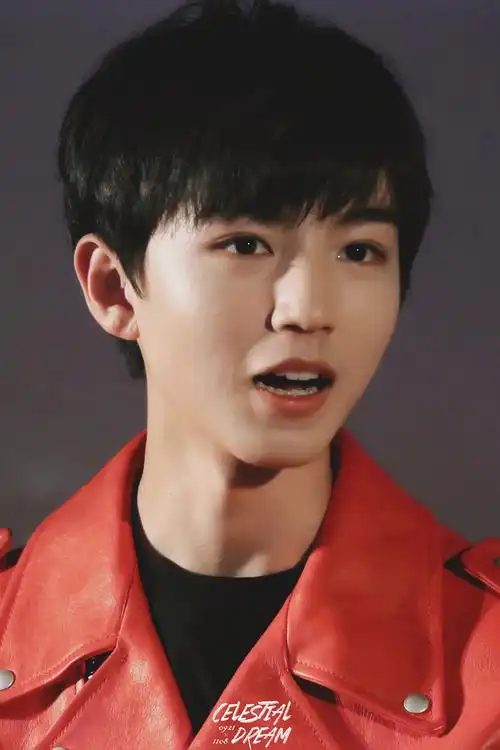 王俊凯# 161215 《长城》点映媒体见面会 高清